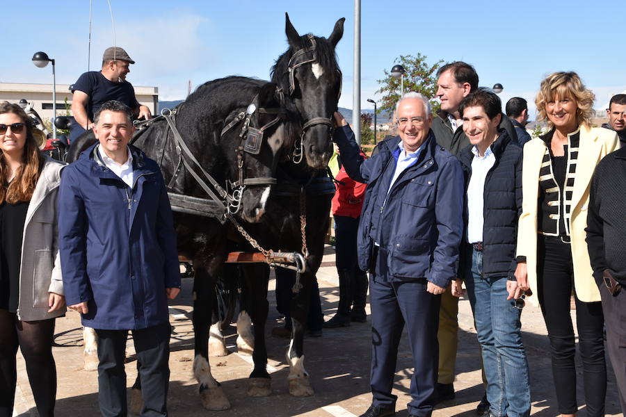 Ceniceros felicita a los rinconeros por mantener la celebración de la Feria de Ganado Equino hasta nuestros días