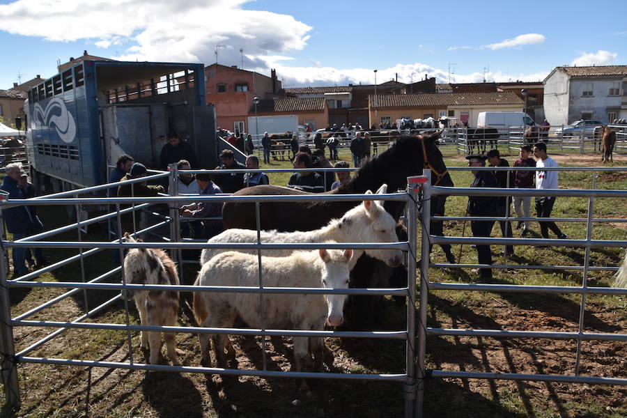 Ceniceros felicita a los rinconeros por mantener la celebración de la Feria de Ganado Equino hasta nuestros días