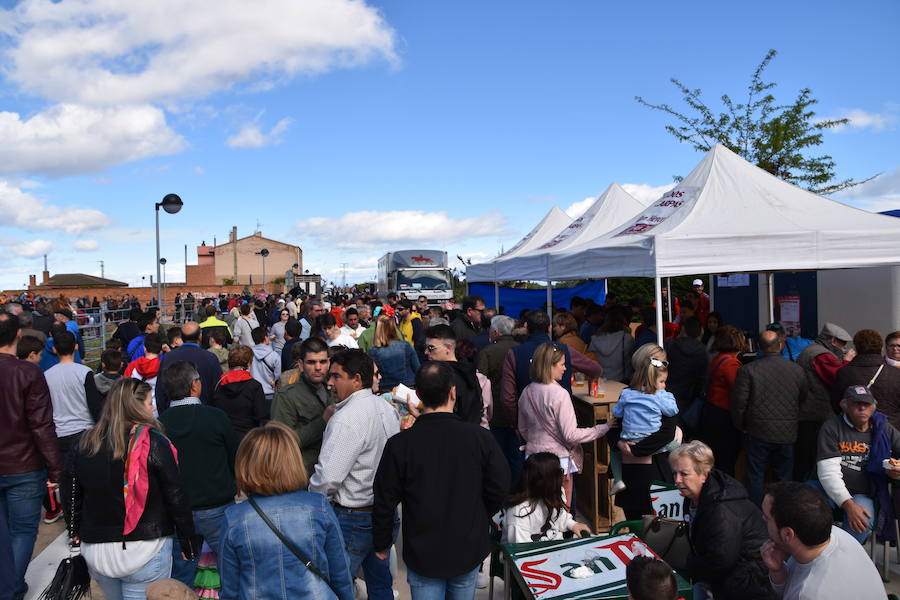 Ceniceros felicita a los rinconeros por mantener la celebración de la Feria de Ganado Equino hasta nuestros días