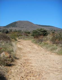 Imagen secundaria 2 - El chopo de La Corrala, en Entrena, iglesia de Sorzano y camino de subida a la Regadera desde Sorzano