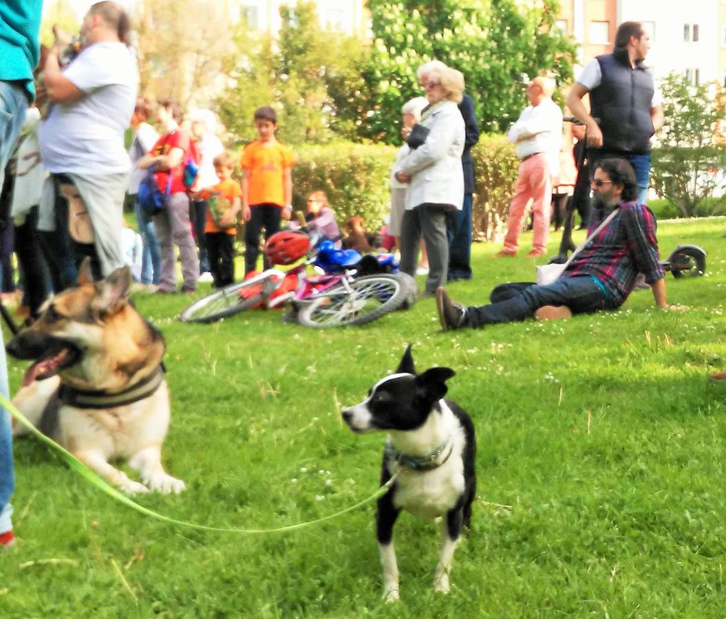 Cientos de personas y decenas de perros se reúnen en el parque del Ebro de Logroño en honor del adiestrador canino