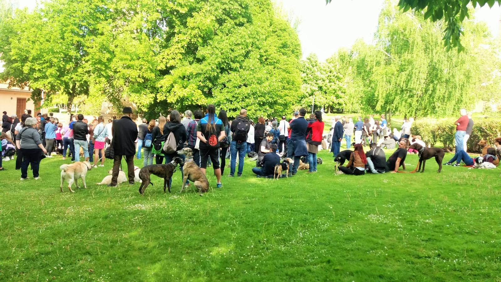 Cientos de personas y decenas de perros se reúnen en el parque del Ebro de Logroño en honor del adiestrador canino