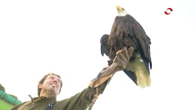 Aprender sobre aves rapaces, un importante reclamo turístico en Calahorra