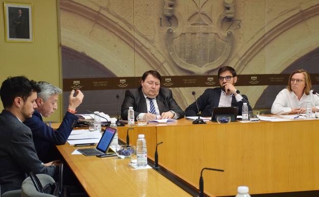 Comparecencia de Ana Elvira Martínez, este lunes en el Parlamento de La Rioja.