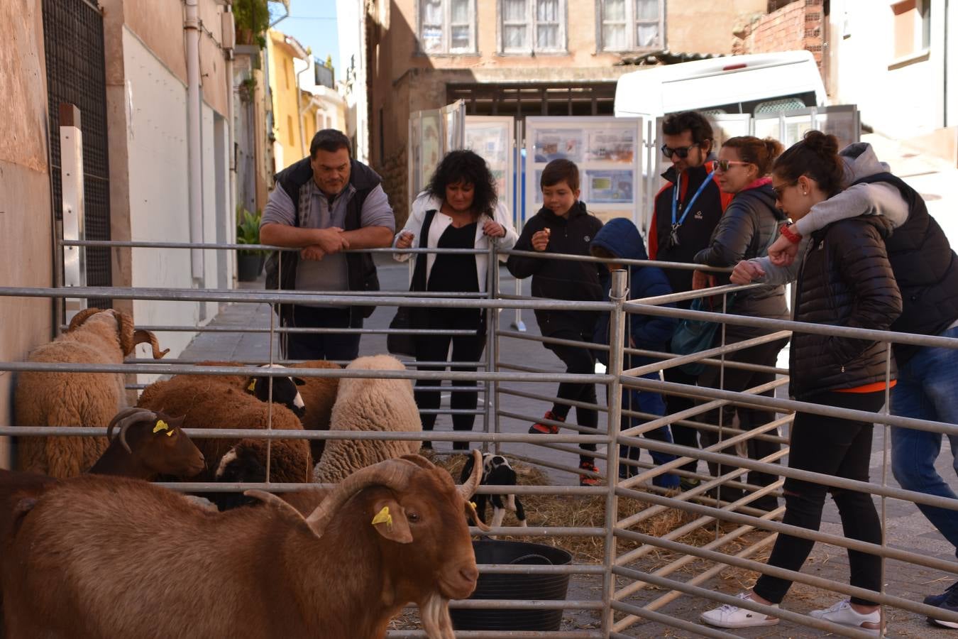 Fotos: III feria de la cebolla asada de Herce