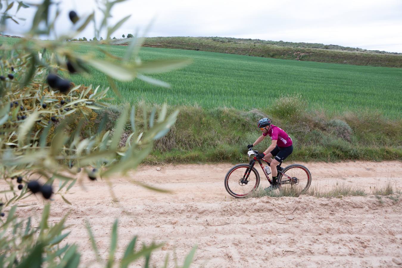 Fotos: Primera etapa de La Rioja Bike Race: La carrera