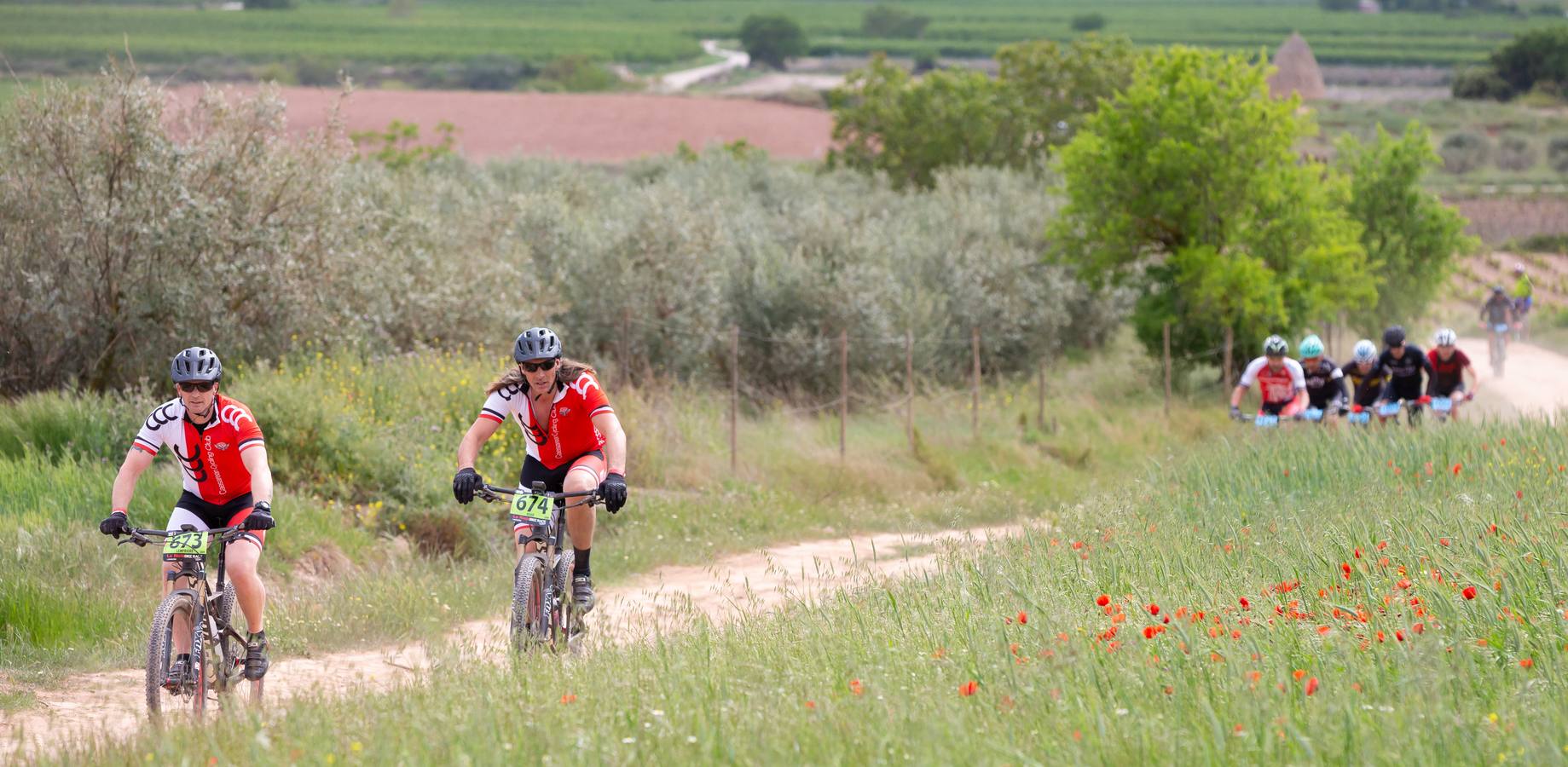 Fotos: Primera etapa de La Rioja Bike Race: La carrera