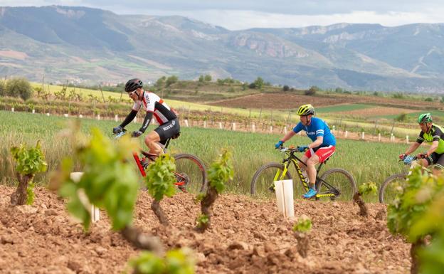 Galería. Primera etapa de La Rioja Bike Race: La carrera. 