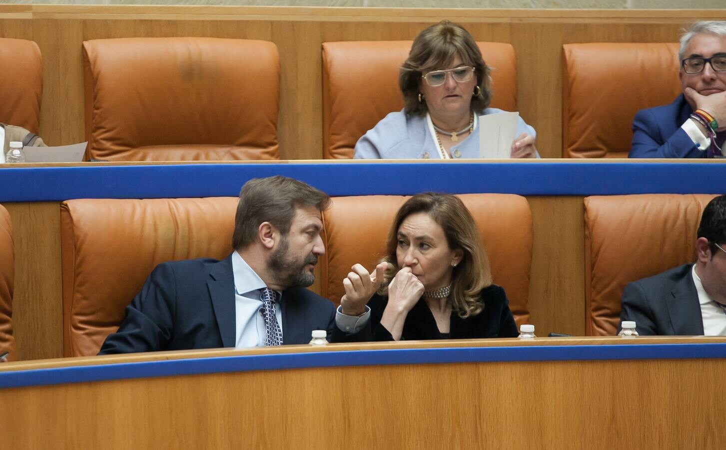 La ausencia de Cantabrana y el voto en contra de la no adscrita Rebeca Grajea hacen decaer el dictamen final