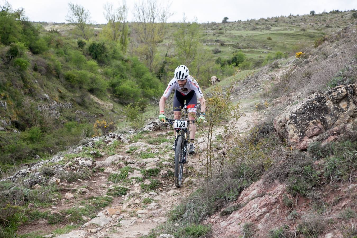 Fotos: Segunda etapa de La Rioja Bike Race (II)