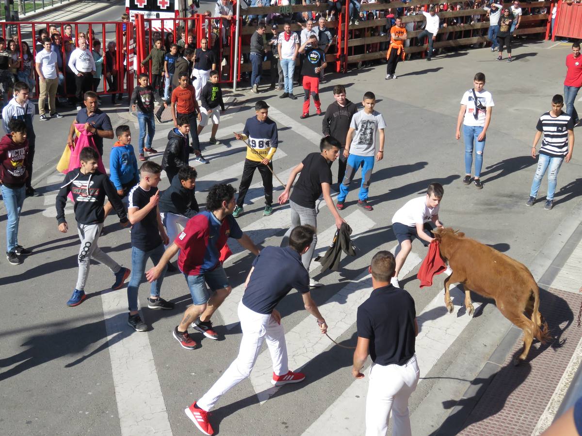 Fotos: Segundo día de las fiestas de Primavera de Alfaro