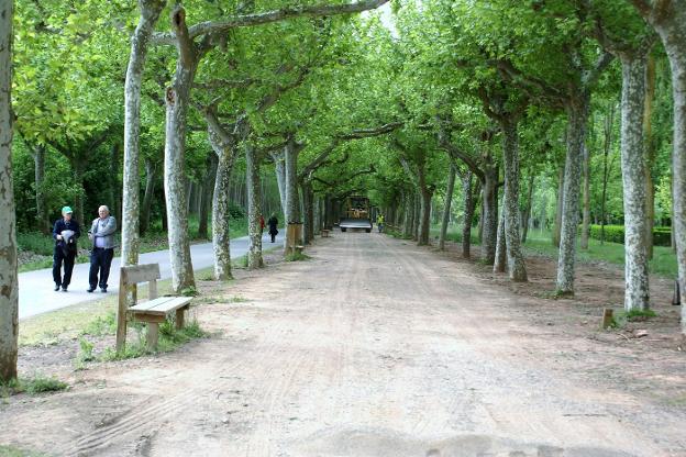 Comienzan las obras en el firme del Paseo San Julián