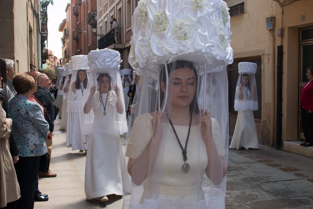 Fotos: Procesión del Pan del Santo y del Peregrino de anto Domingo