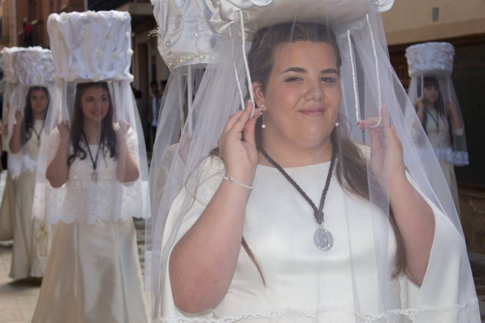 Fotos: Procesión del Pan del Santo y del Peregrino de anto Domingo