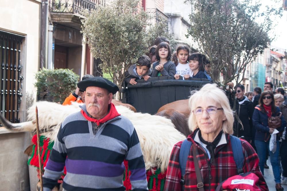 Fotos: Procesión del Pan del Santo y del Peregrino de anto Domingo