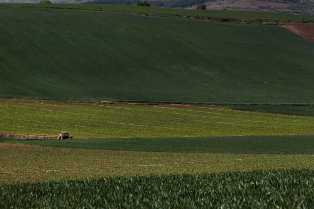 Imagen de archivo de una explotación agraria en el término municipal de Berceo. 