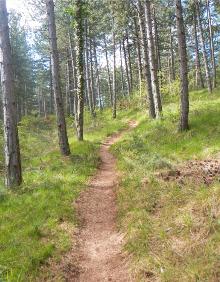 Imagen secundaria 2 - Camino de subida a Clavijo, pradera en el Corro del Cura y senda de La Leñosa