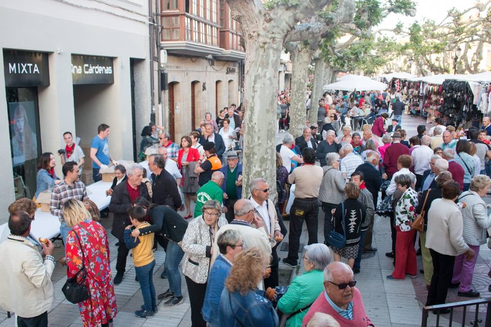 Fotos: Santo Domingo de la Calzada celebra San Isidro