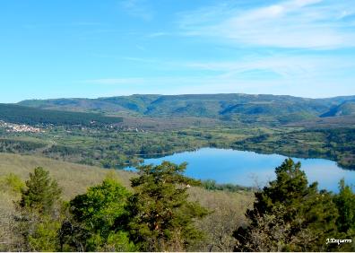 Imagen secundaria 1 - El Rasillo y su olmo, vista del González Lacasa desde el camino y hayedo en Ortigosa 