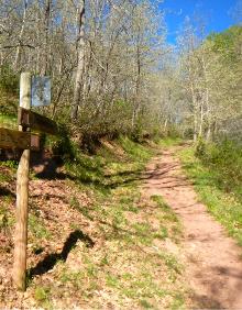 Imagen secundaria 2 - Pradillo desde el sendero, fuente en Montemediano y senda que conezta ambos pueblos.