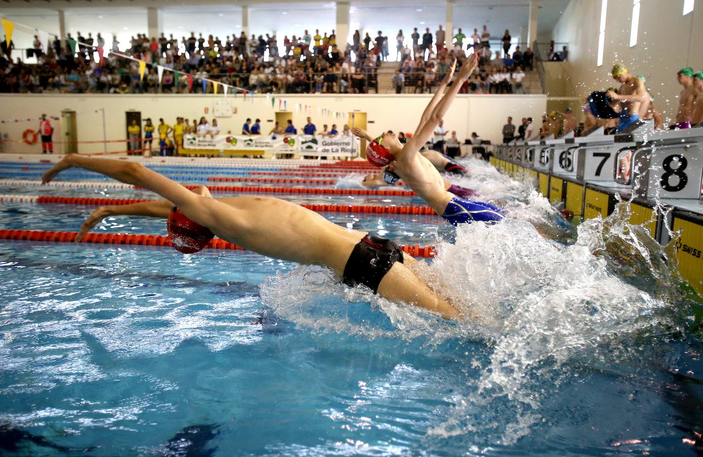 Fotos: IV Torneo Club Natación Logroño