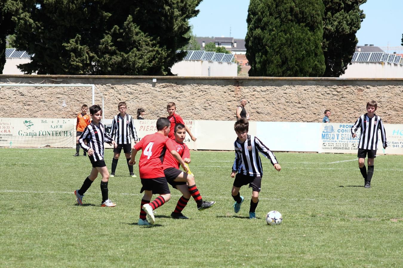 Fotos: Torneo de fútbol infantil de Nájera