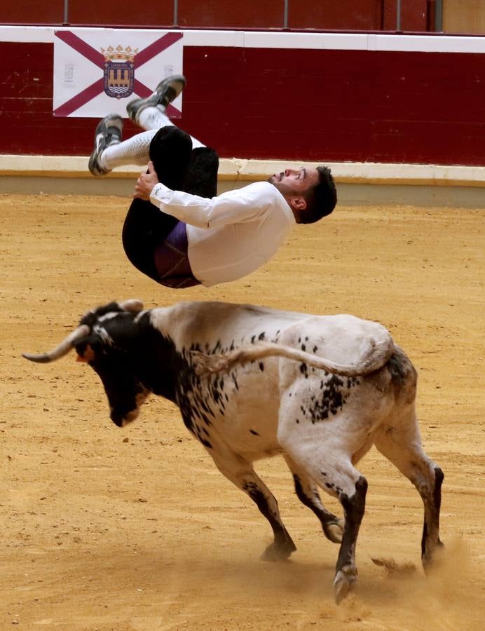 Más de 5.000 personas se dieron cita en el festejo taurino de La Ribera