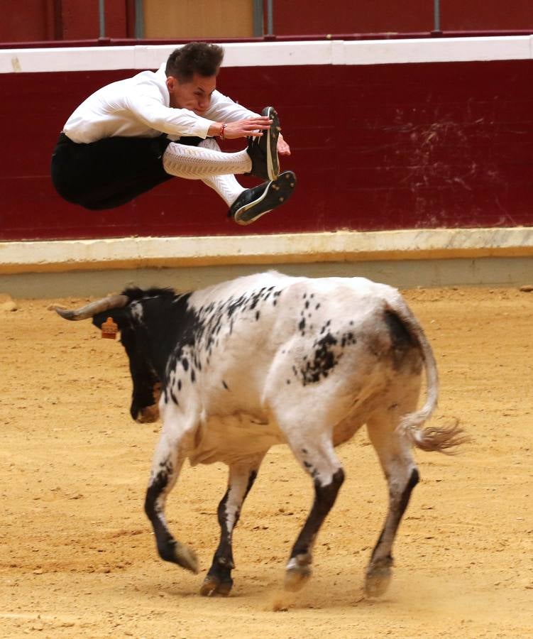 Más de 5.000 personas se dieron cita en el festejo taurino de La Ribera