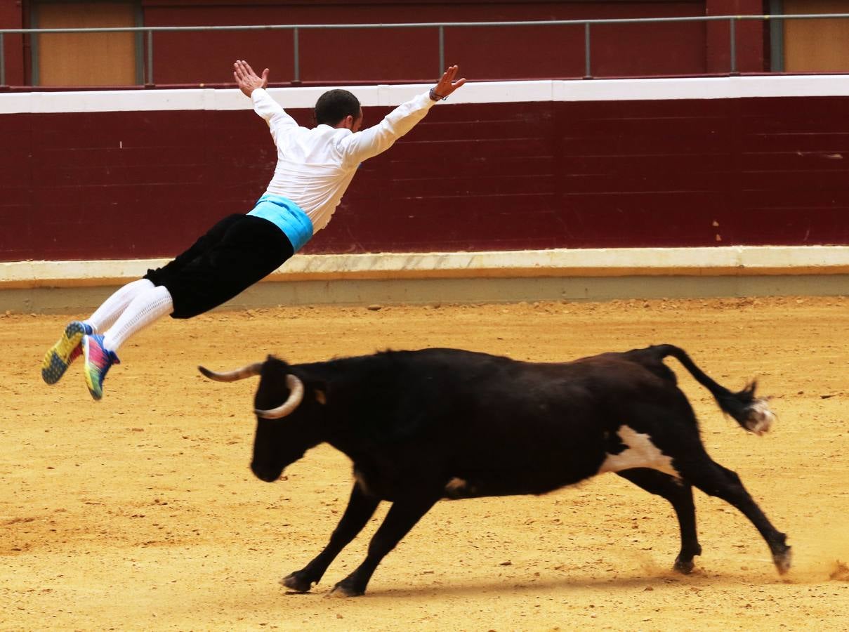 Más de 5.000 personas se dieron cita en el festejo taurino de La Ribera