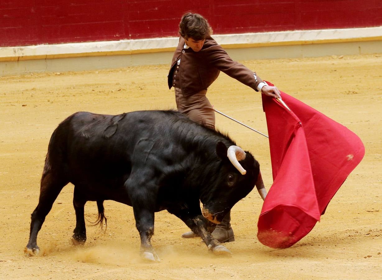 Más de 5.000 personas se dieron cita en el festejo taurino de La Ribera