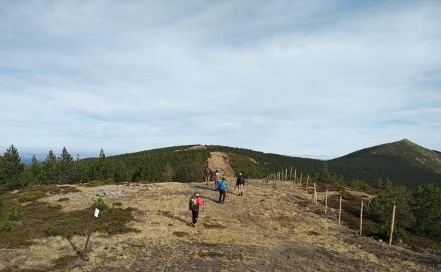 La pista por la que supuestamente paseaba la joven desaparecida