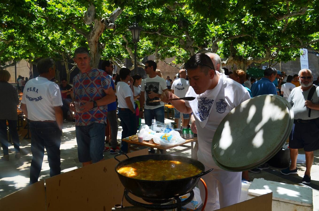 Fotos: Fuenmayor vive sus fiestas de San Juan