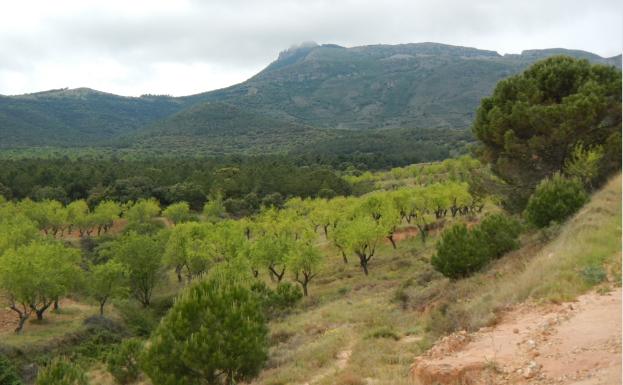 Imagen principal - Peña Isasa desde Vico y senderos del Valdelagua