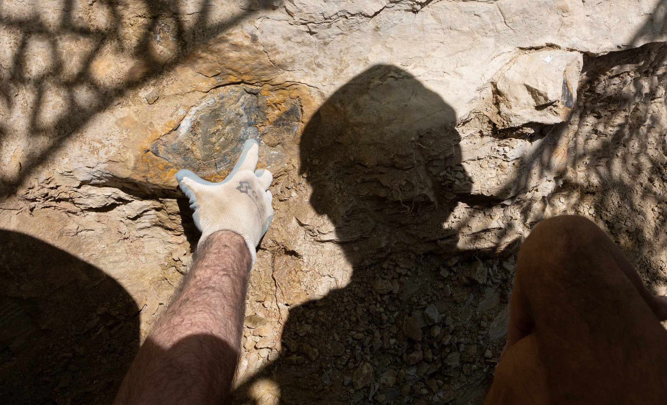 Fotos: Un equipo multidisciplinar trabaja en el yacimiento &#039;Goliat&#039; en Igea