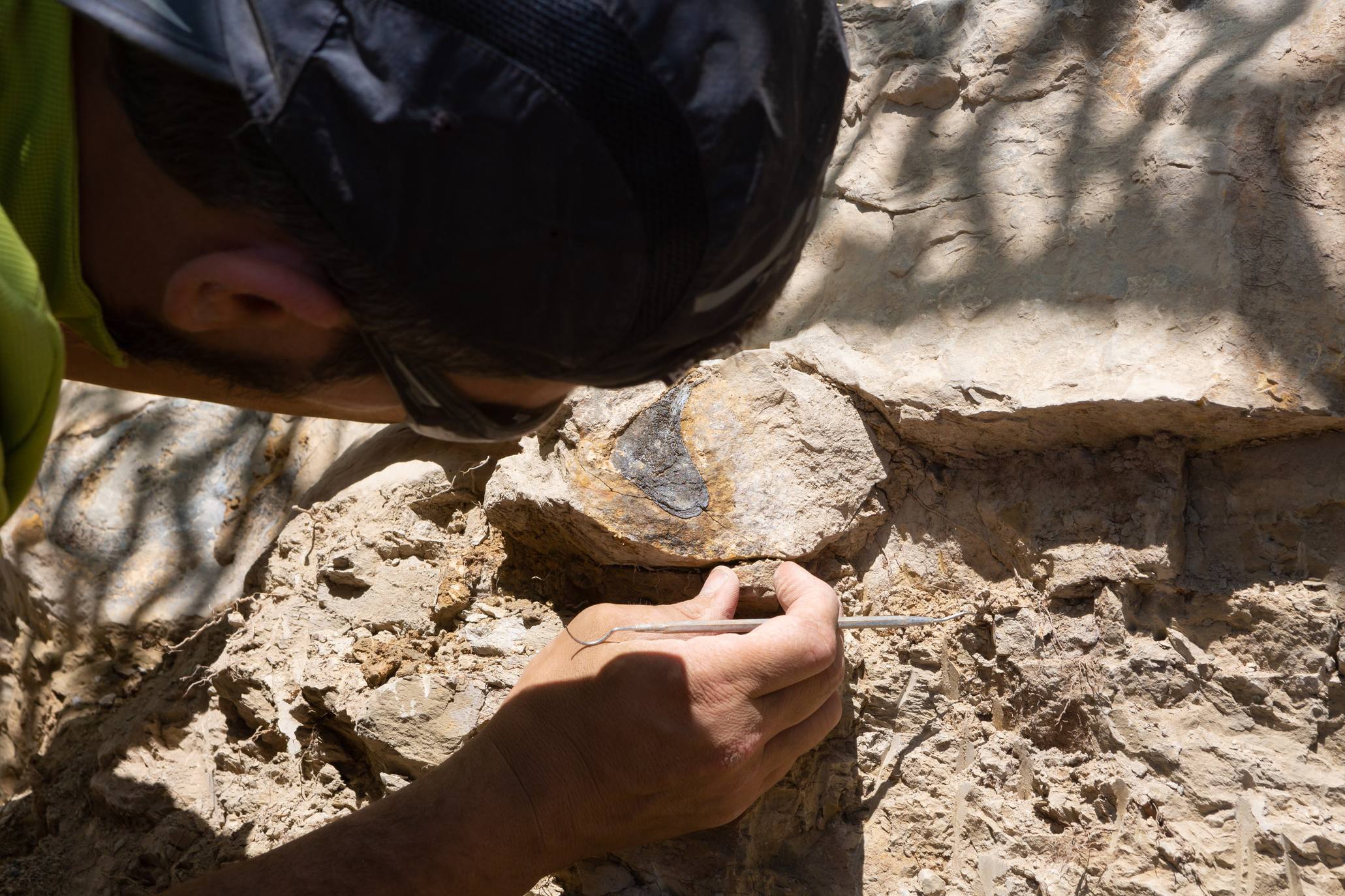 Fotos: Un equipo multidisciplinar trabaja en el yacimiento &#039;Goliat&#039; en Igea