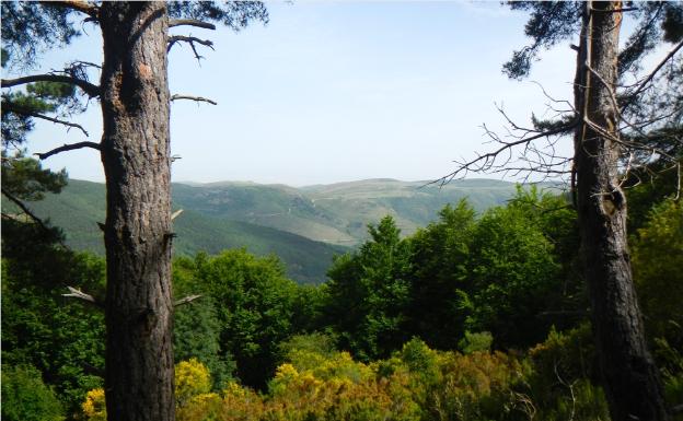 Imagen principal - Vistas del valle del río Ciloria y dos tramos de sendero de la ruta