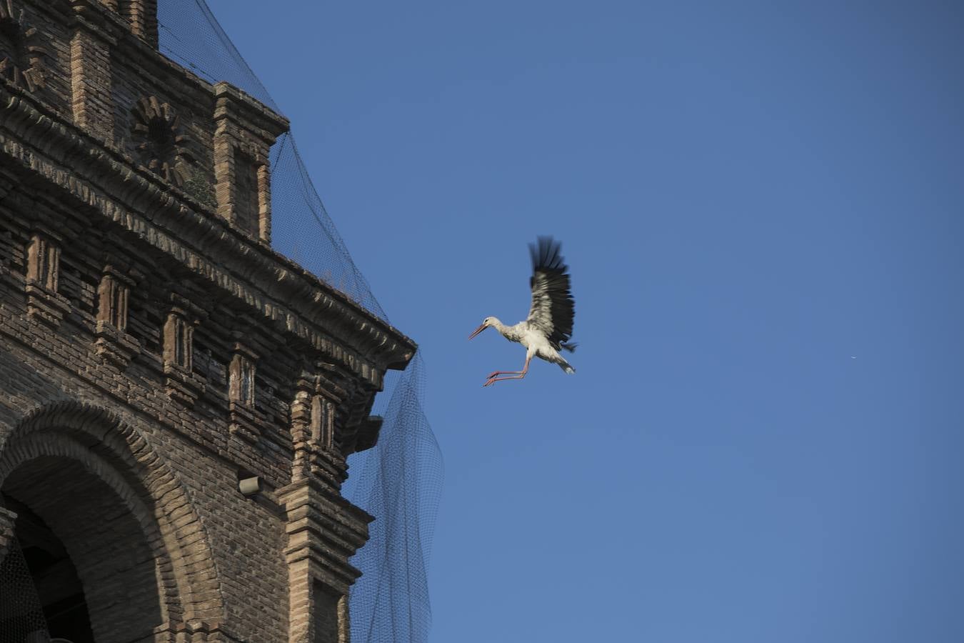 Fotos: Aprendiendo a volar