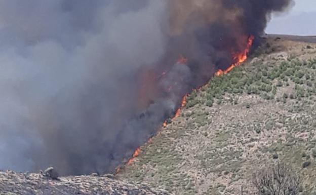 Incendio en Terque (Almería) 
