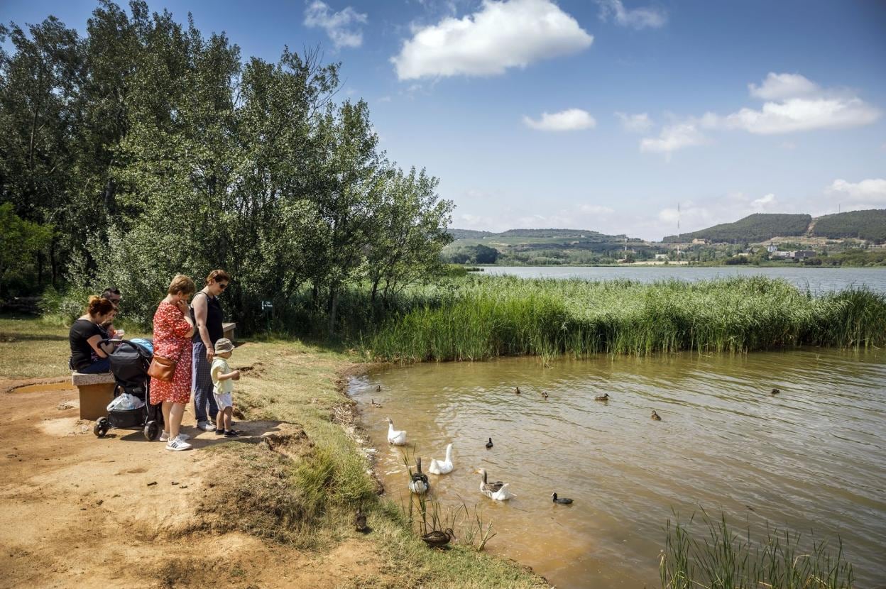 Visitantes dando de comer a los patos y los cisnes.