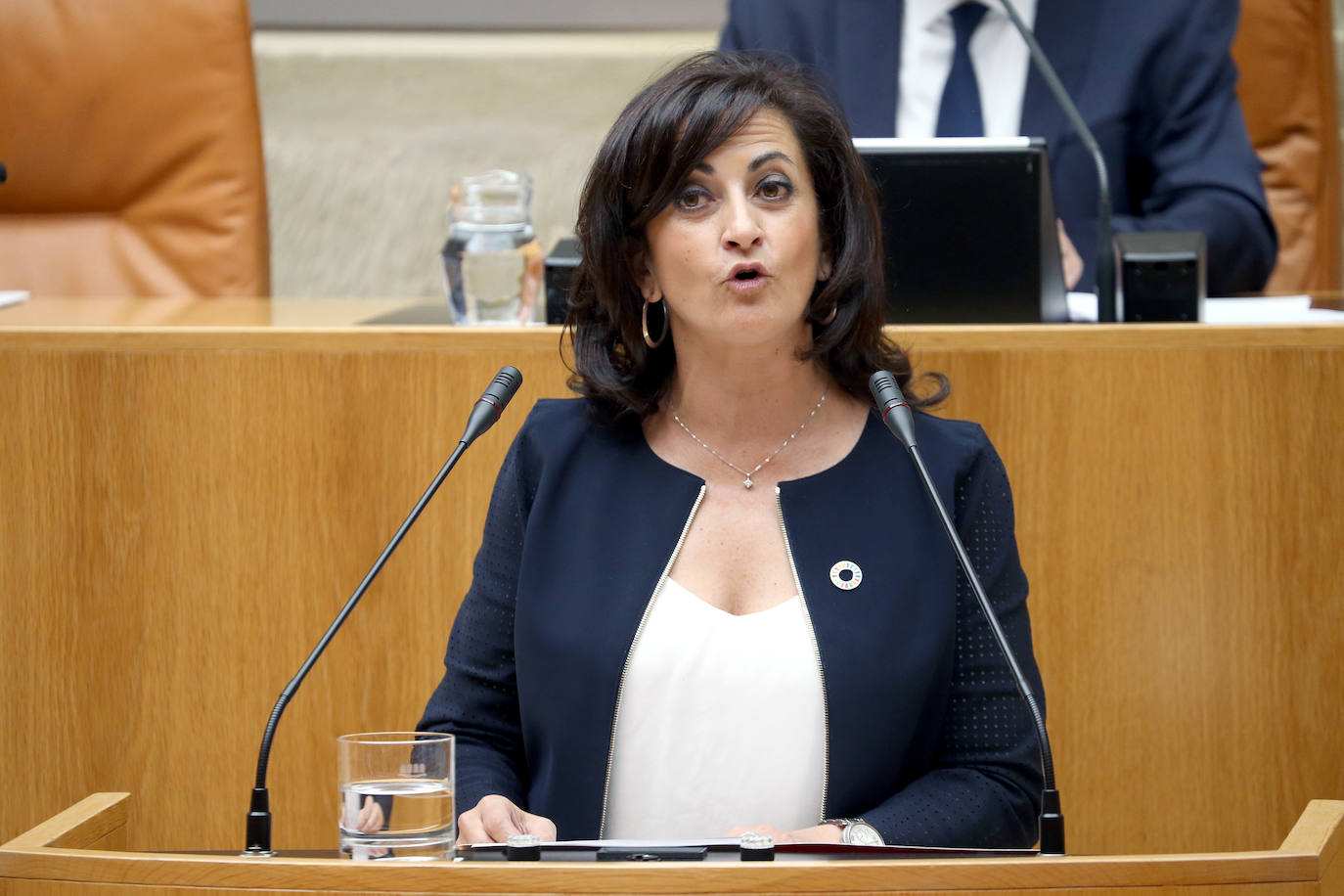 Fotos: Primera sesión del debate de investidura de Concha Andreu