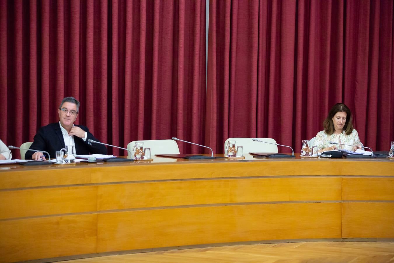 Fotos: Los gestos, los saludos las conversaciones en el Pleno del Ayuntamiento de Logroño