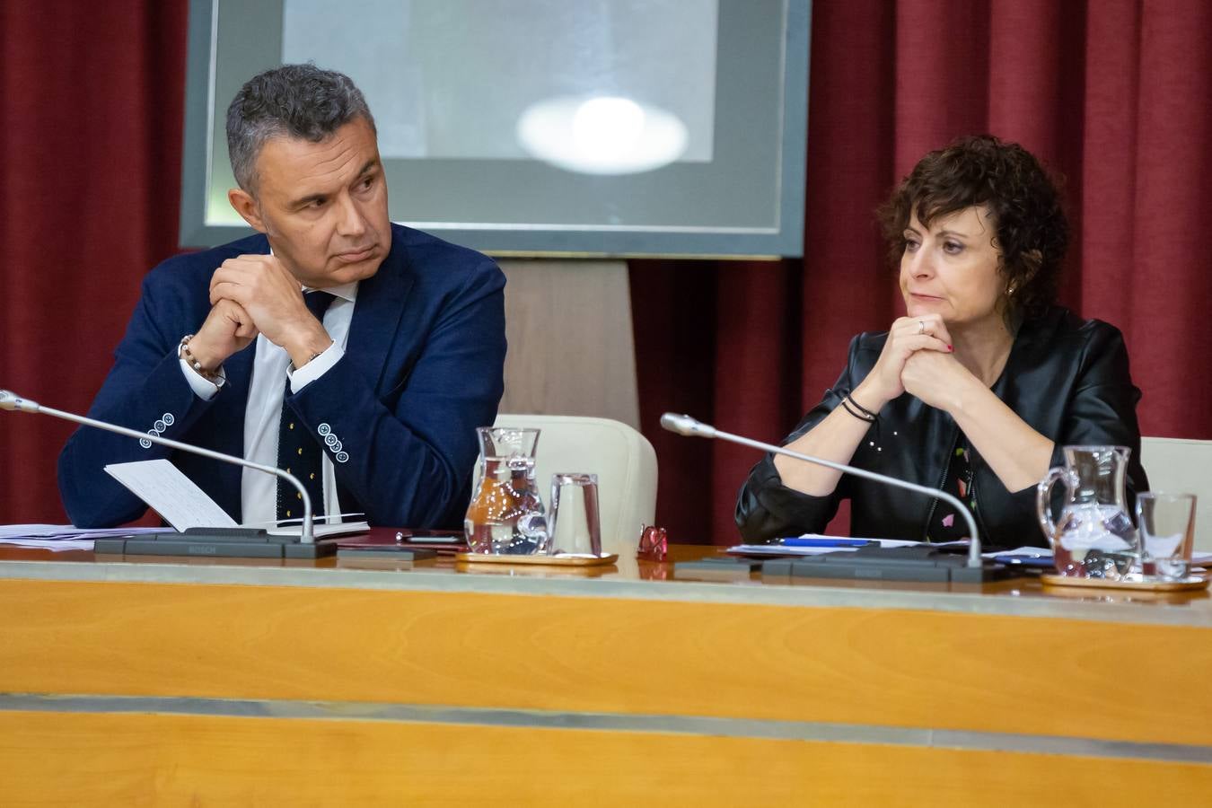 Fotos: Los gestos, los saludos las conversaciones en el Pleno del Ayuntamiento de Logroño