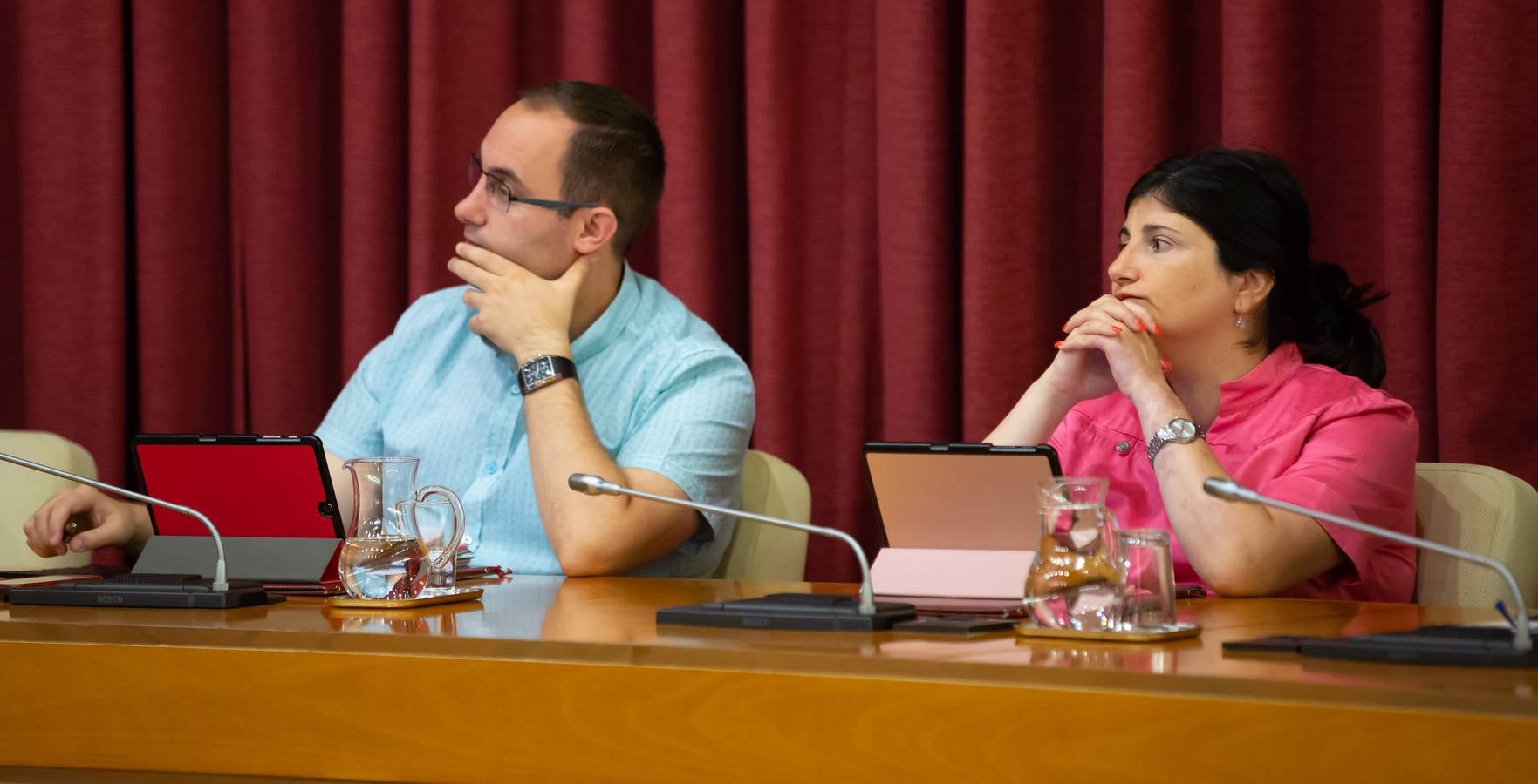 Fotos: Los gestos, los saludos las conversaciones en el Pleno del Ayuntamiento de Logroño