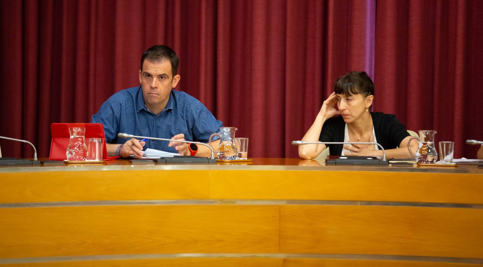 Fotos: Los gestos, los saludos las conversaciones en el Pleno del Ayuntamiento de Logroño