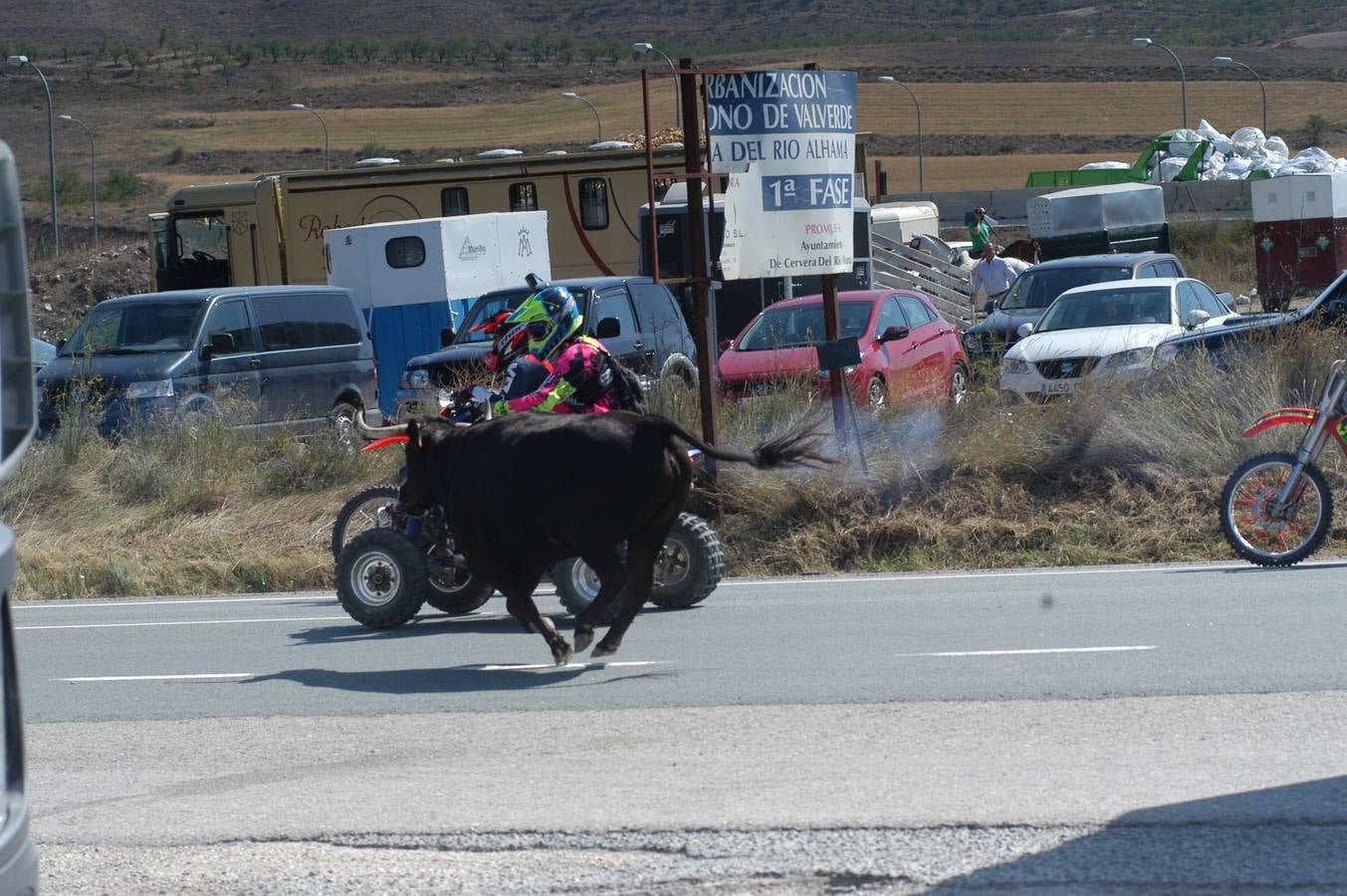 Fotos: La entrada de reses bravas de Valverde, en imágenes