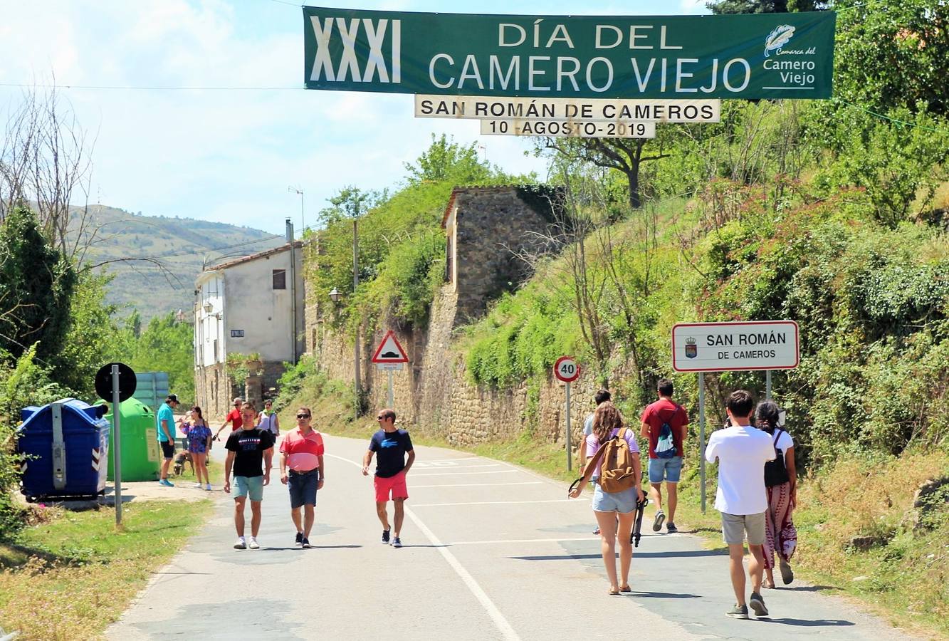 Fotos: San Román acoge el XXXI Día del Camero Viejo