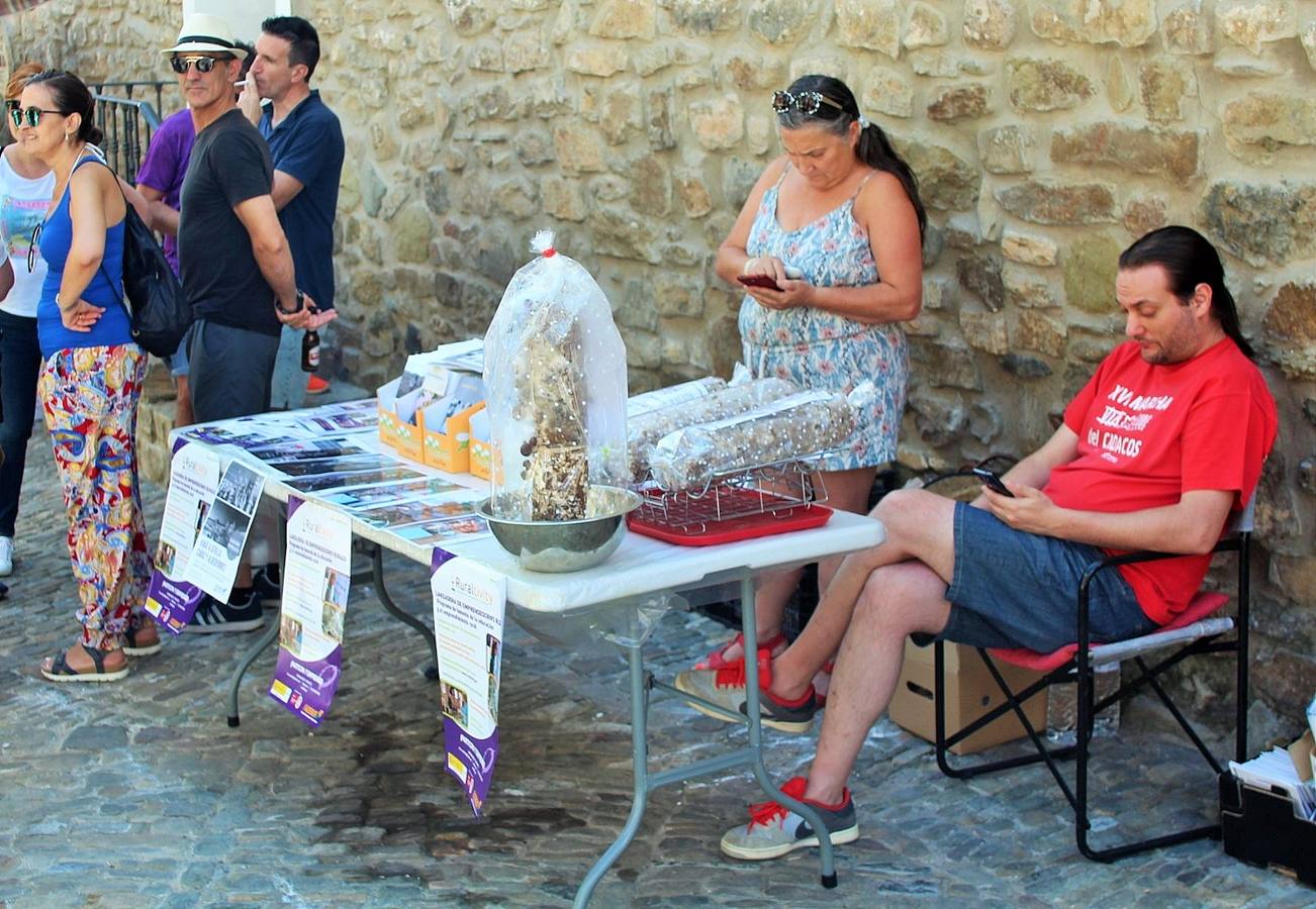 Fotos: San Román acoge el XXXI Día del Camero Viejo