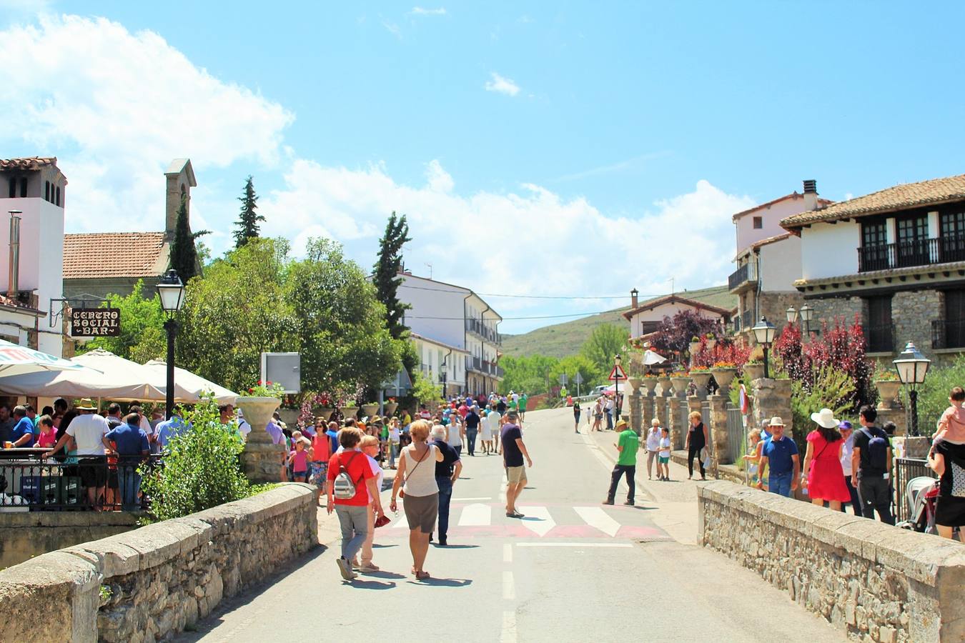 Fotos: San Román acoge el XXXI Día del Camero Viejo