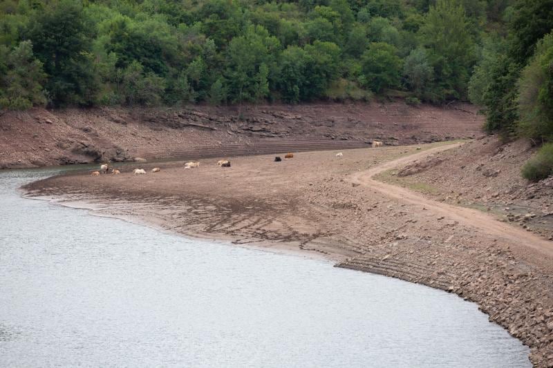 Fotos: El embalse de Mansilla en agosto