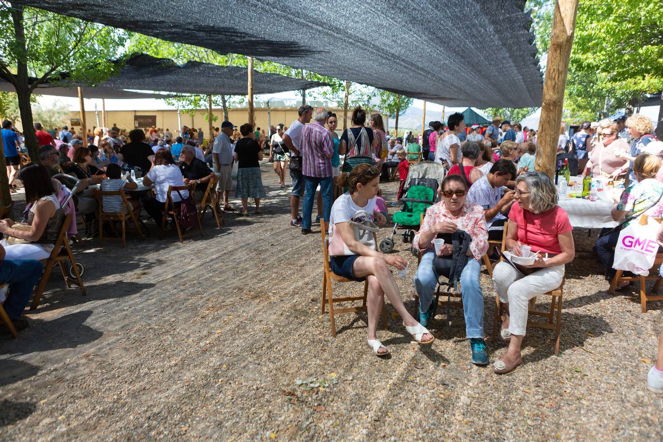 Fotos: Así ha sido la Fiesta de la Molienda